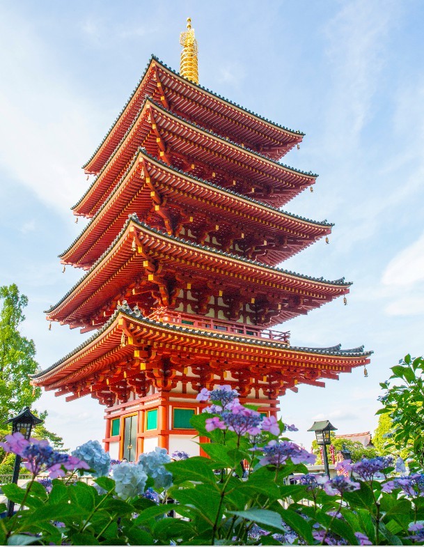 高幡不動尊金剛寺五重塔與紅葉絕景