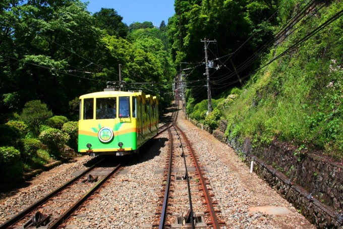 高尾山綠意盎然的登山步道